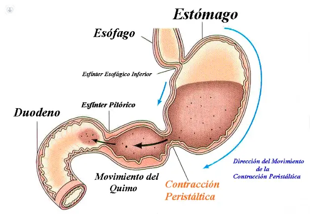 clinica-endoscopia-avanzada_manometria