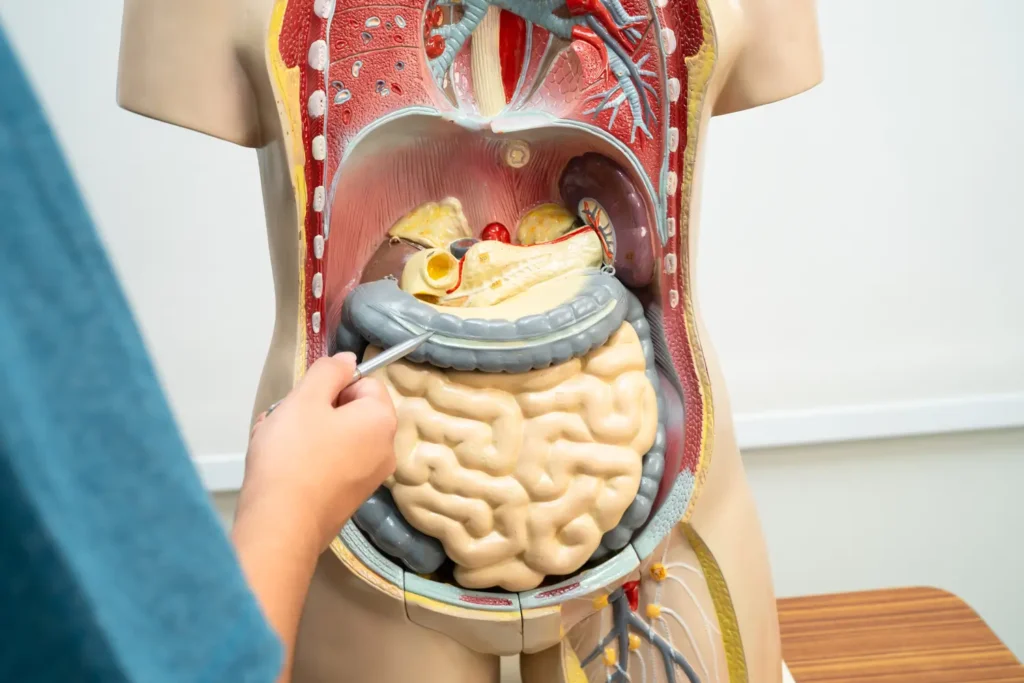 Tratamiento endoscópico de un pólipo del colon